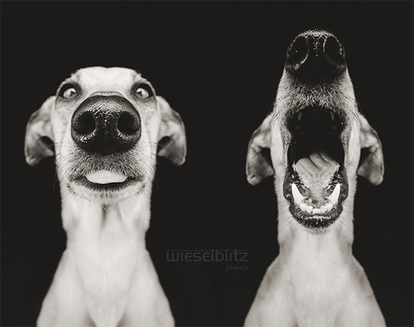 Elke Vogelsang 鼻子翘上天