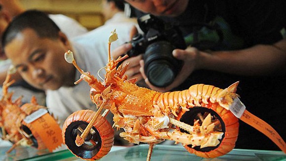 吃货的创意作品龙虾摩托车