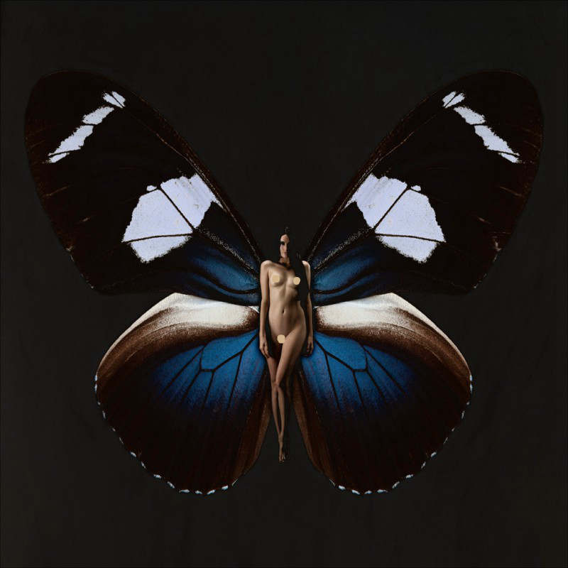 德国摄影师Carsten Witte的蝴蝶人体艺术摄影