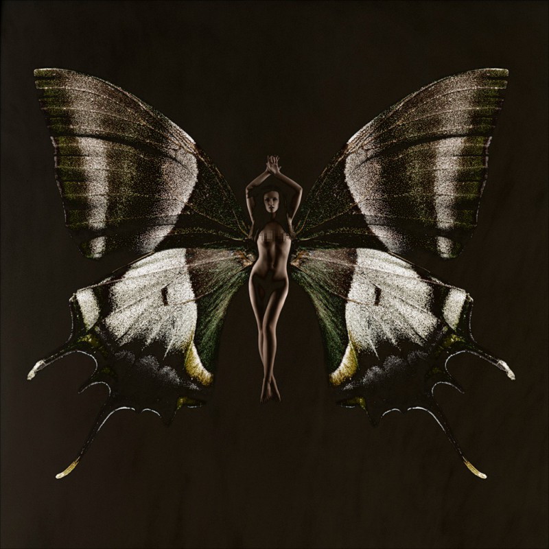 德国摄影师Carsten Witte的蝴蝶人体艺术摄影