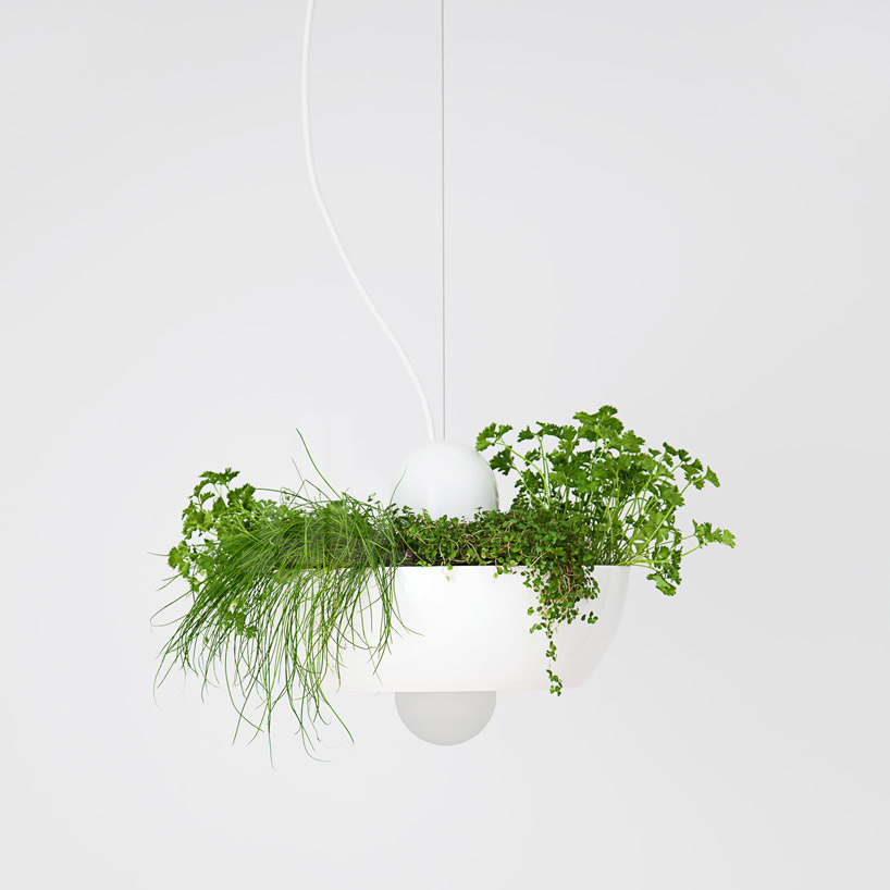 可以养植物的创意灯具（Well Light）
