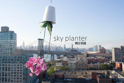 倒立的天空花园（sky planter）