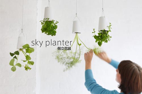 倒立的天空花园（sky planter）