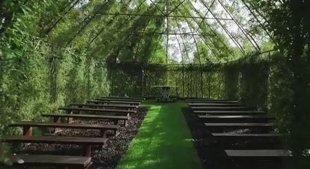 新西兰绿树教堂