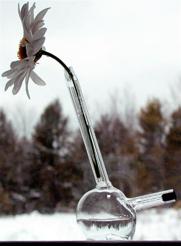 分开式花瓶和多款有趣的创意玻璃花瓶创意设计