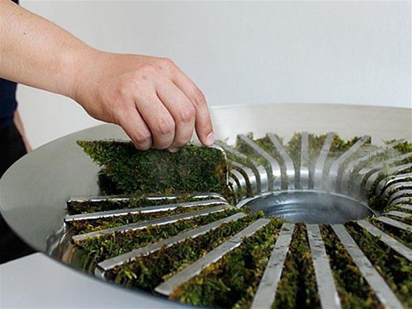 可种苔藓的空气加湿器创意家居产品设计