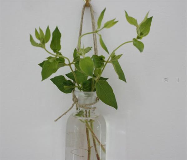 分开式花瓶和多款有趣的创意玻璃花瓶创意设计