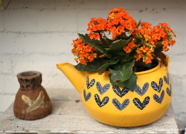 利用废旧茶壶制作属于自己的个性花盆