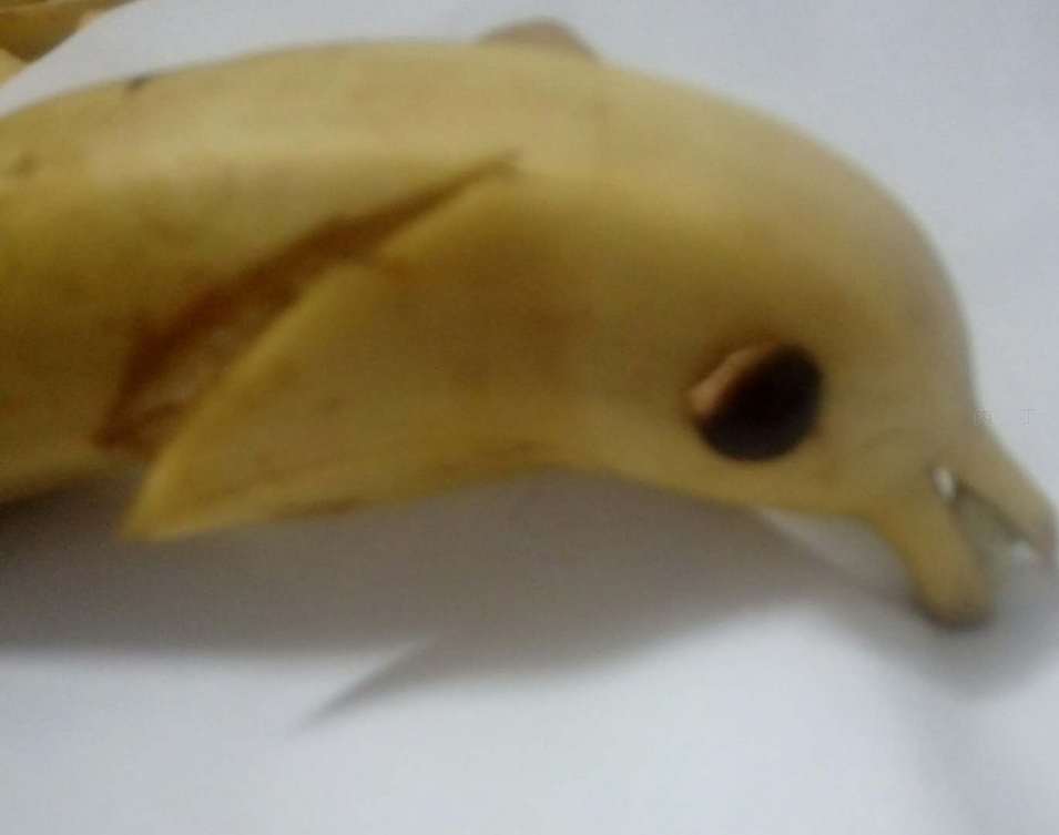 小朋友 香蕉DIY的小海豚