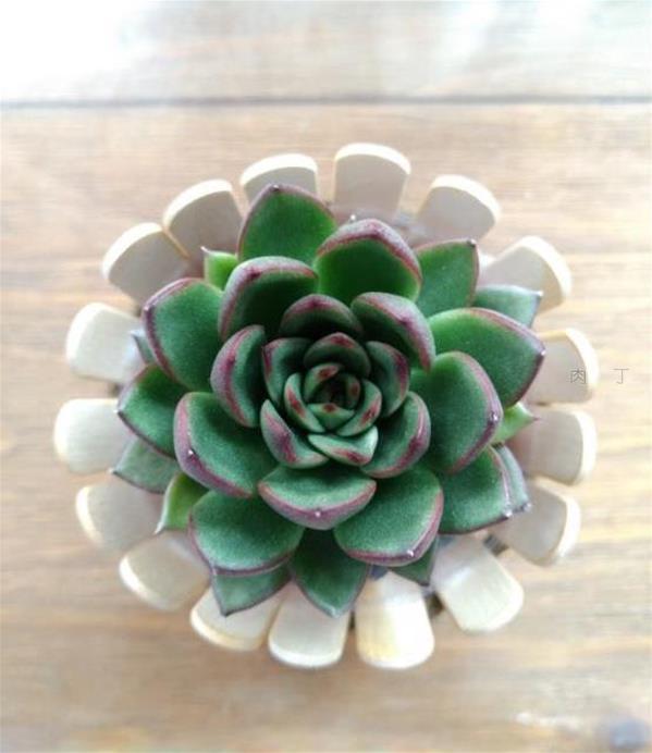 简单实用的雪糕棍手工作品 可爱的小花盆装饰