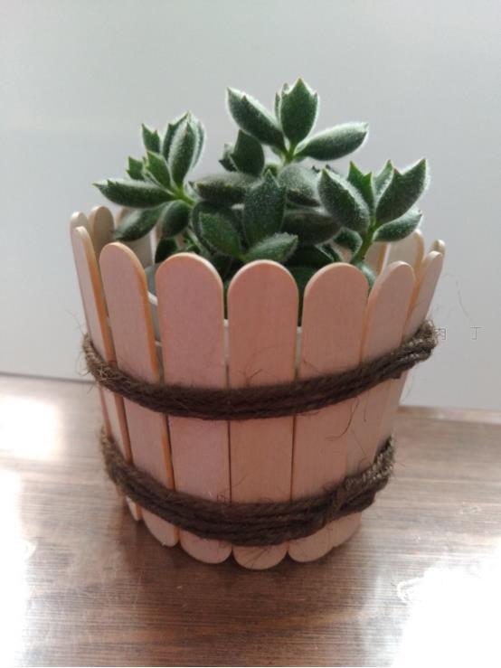 简单实用的雪糕棍手工作品 可爱的小花盆装饰