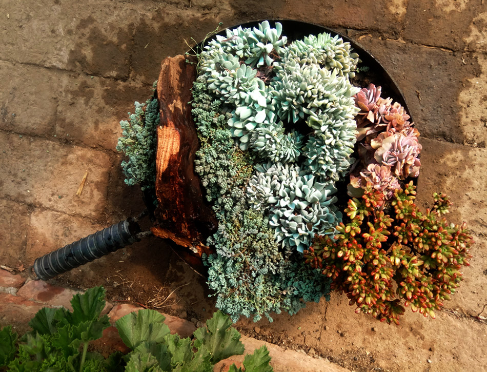 创意旧铁锅改造花盆
