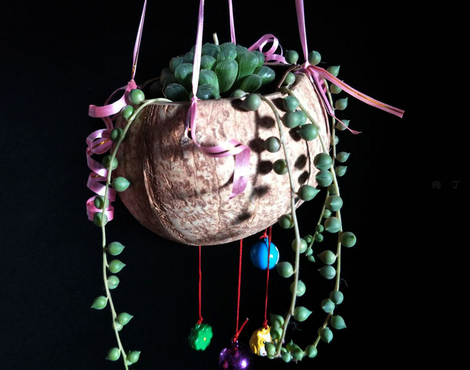 椰壳和铃铛制作波希米亚风多肉小花盆的做法