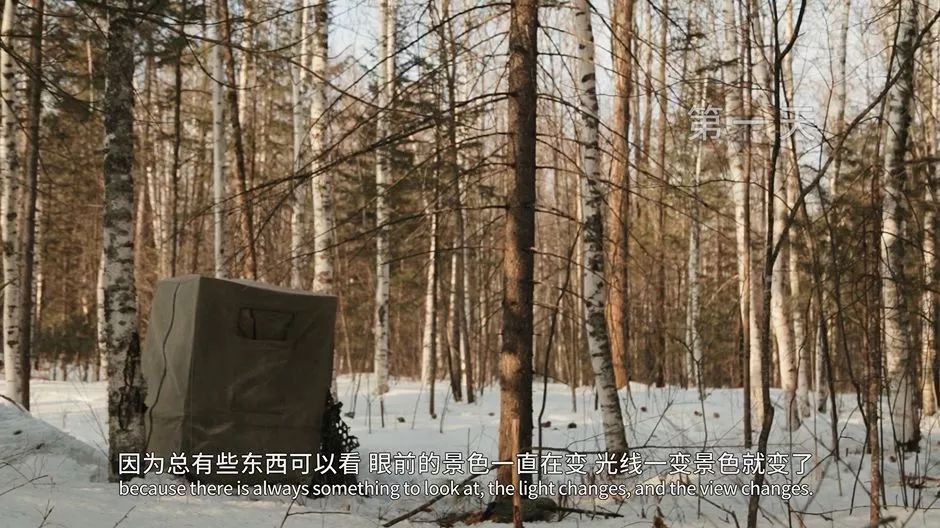 农夫山泉最新广告，长白山拍摄堪比野生动物纪录片