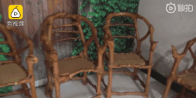 老人耗费17年时间种植出树椅子，8万一张舍不得卖