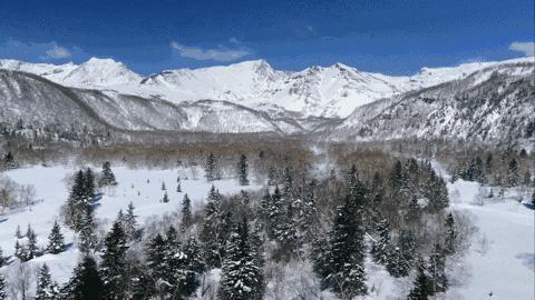 农夫山泉最新广告，长白山拍摄堪比野生动物纪录片