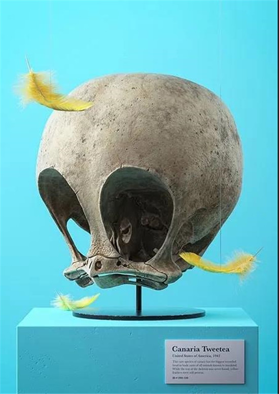 捷克艺术家的超现实3D作品
