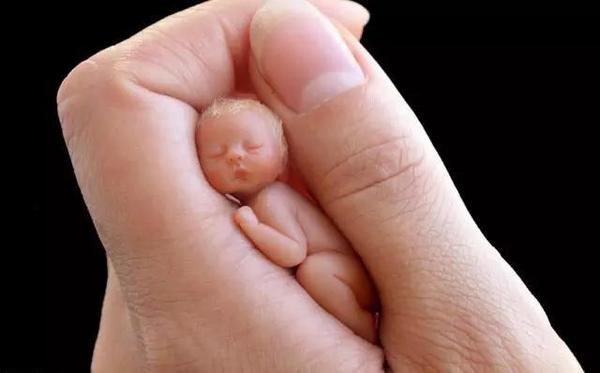 手心里可爱的雕塑“小宝宝”