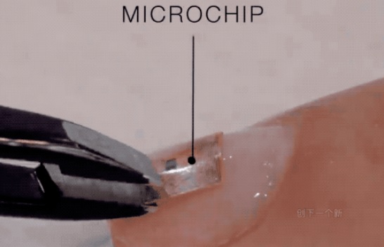 手指甲上的芯片可代替名片