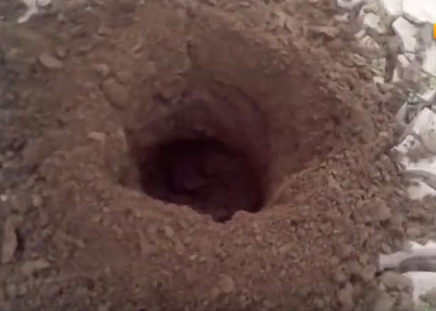 用螺旋挖坑机在沙漠种树速度比手工挖快15倍